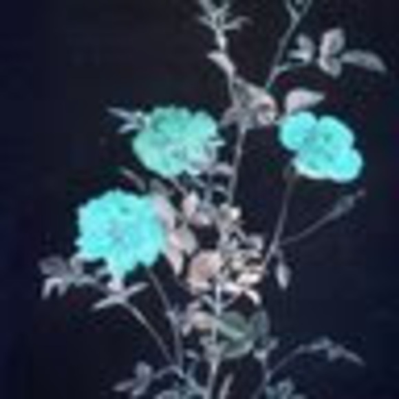 Meet your Posher, Justin - Picture 1 of 1